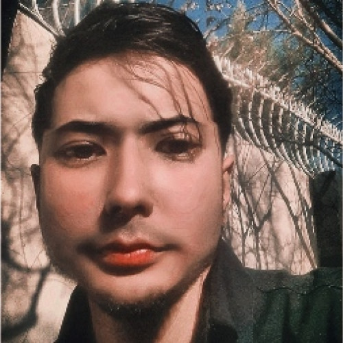 Morteza H. profile photo
