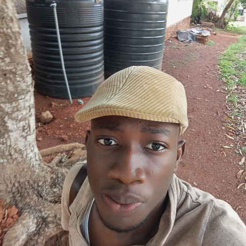 Daniel N. profile photo