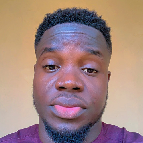Wisdom  L. profile photo