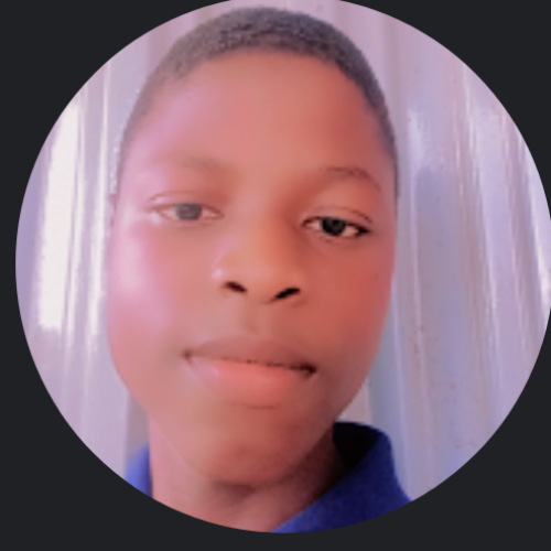 Alozie  D. profile photo