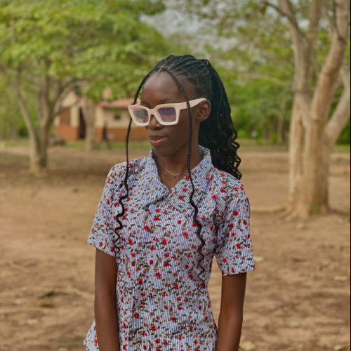 Oluwabukunmi  E. profile photo