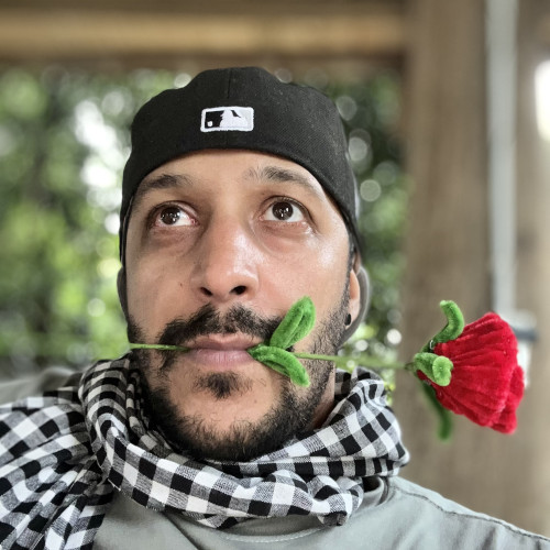 Alin L. profile photo