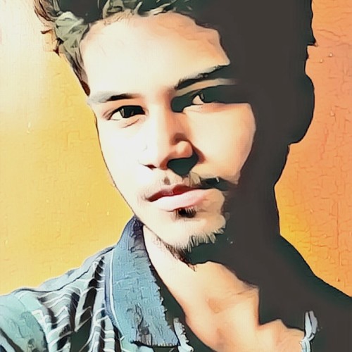 Priyanshu S.