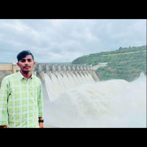 Pinnapureddy  N. profile photo