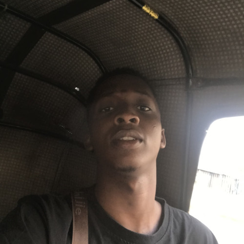 Nesah T. profile photo
