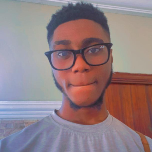 David N. profile photo