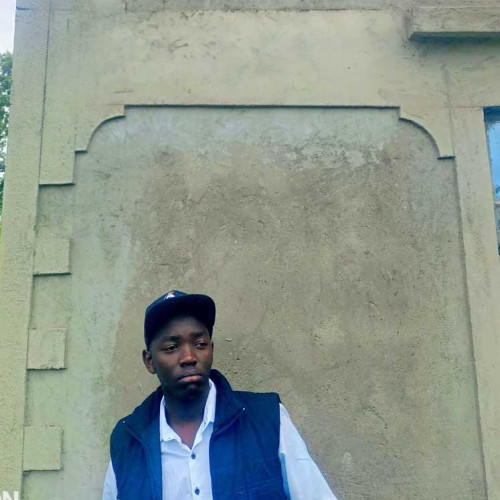 Vincent M. profile photo