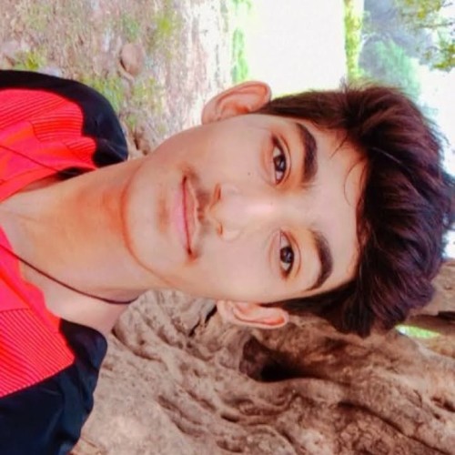 Aryan K.