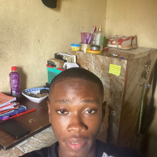 Ansa I. profile photo
