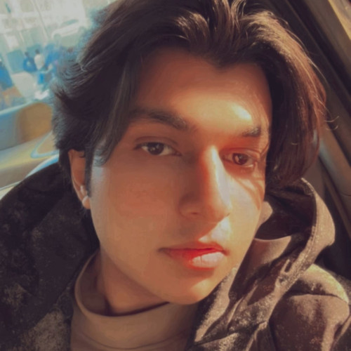 Aboodi K.