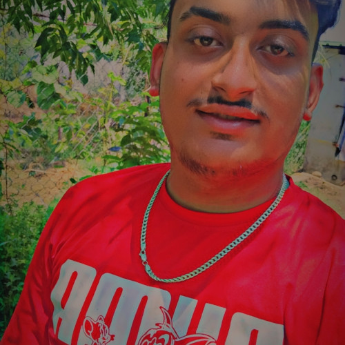 Naveen S. profile photo