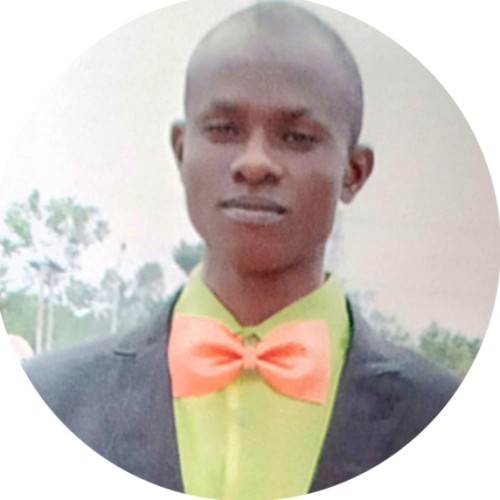Theophilus Chinedu E. profile photo