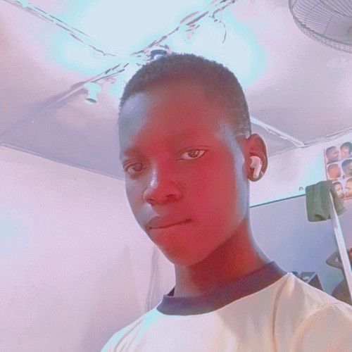 Olamide  O. profile photo