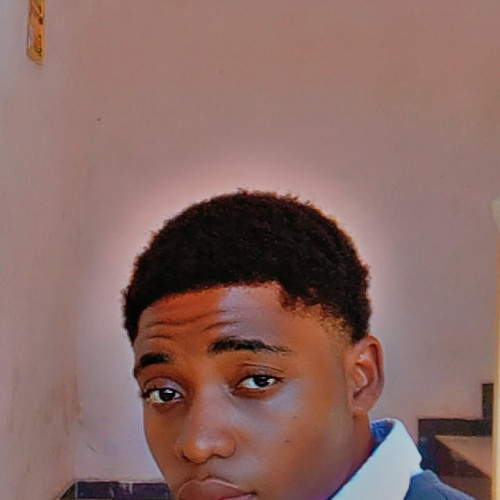 Denzel  R. profile photo