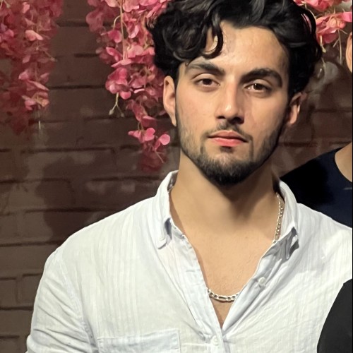 feizan m.