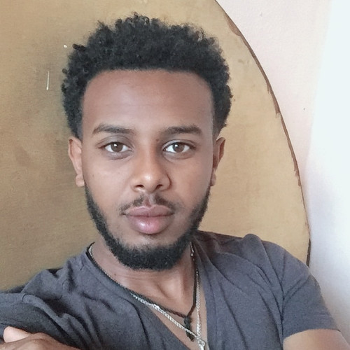 Mengistu Z.