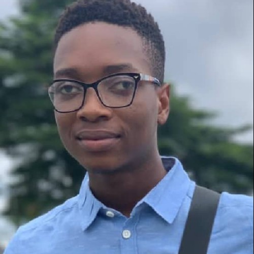 Ujiroghene O. profile photo