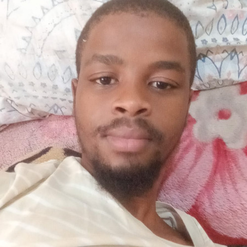 Wilson N. profile photo