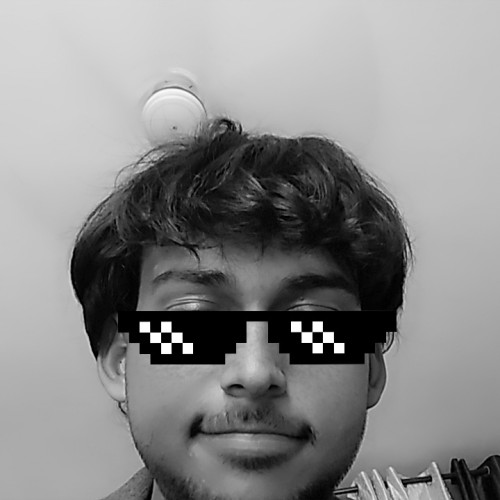 Ansh  R.