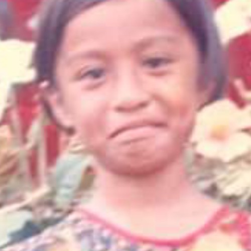Gezelle N.
