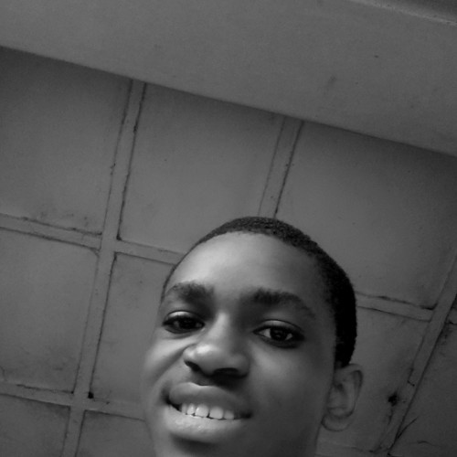 David J. profile photo