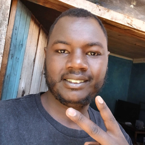 Daniel K. profile photo