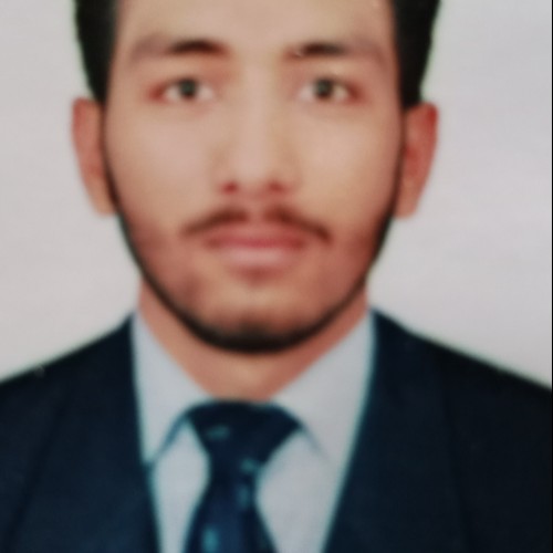 Zulqarnain  H.