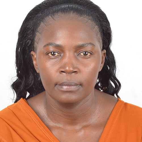 Evelyn  A. profile photo