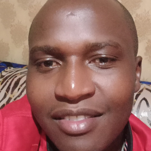 Peter M. profile photo