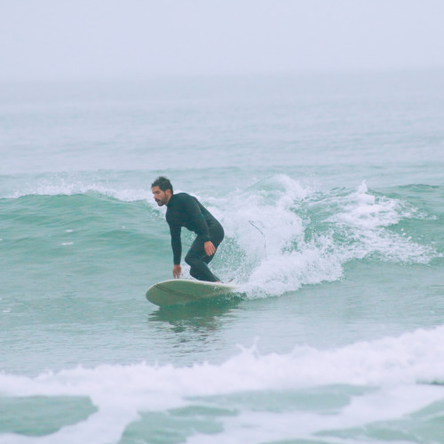 Gonalo P. profile photo