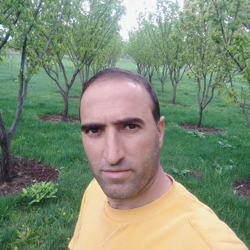 Ali V. profile photo