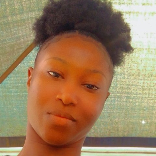 Chinonso  N. profile photo