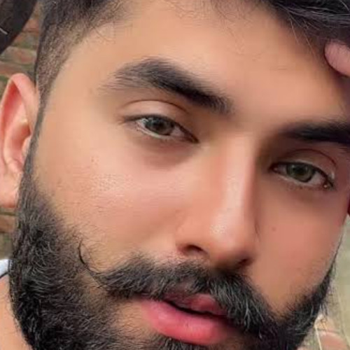 ali Q. profile photo