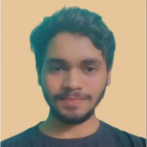 Nitin V.