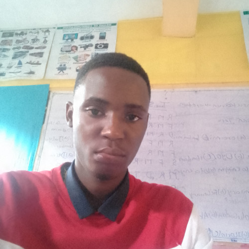 Chisom P. profile photo