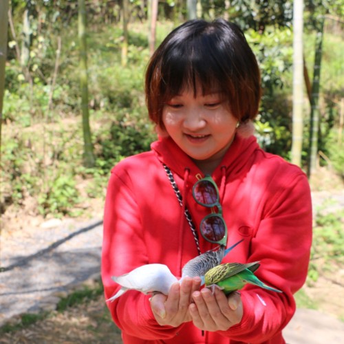 Xue S.