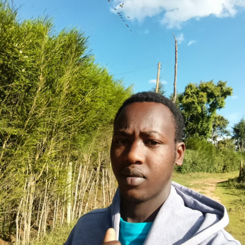 Daniel  K. profile photo