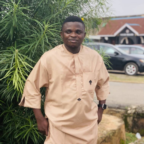 Soremekun  S. profile photo