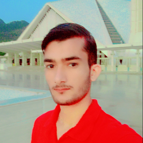 Aamir  K.