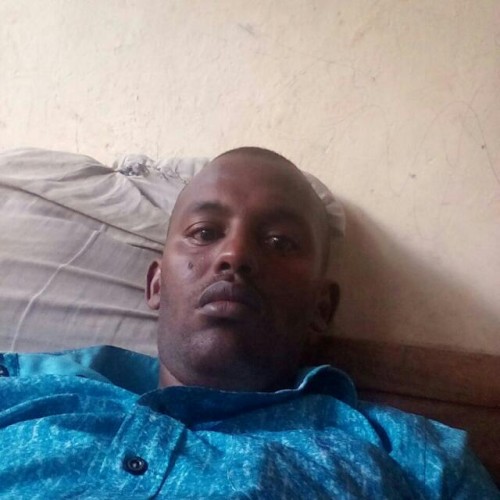 Mohamed A.