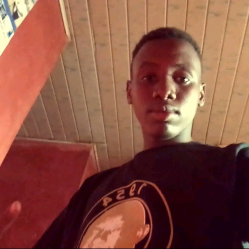 Daniel K. profile photo