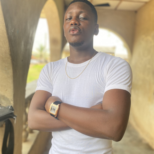 Ogunlowo D. profile photo