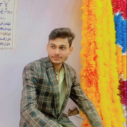 Hasnain A. profile photo