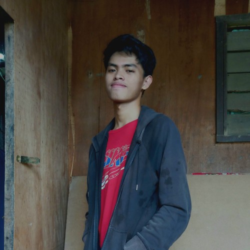 Wenjan V.