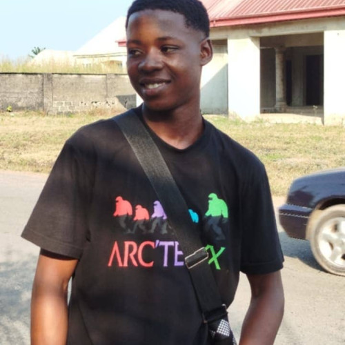Kingsley  E. profile photo