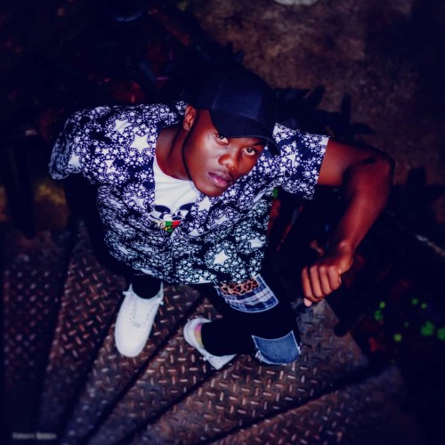 Stephen  T. profile photo