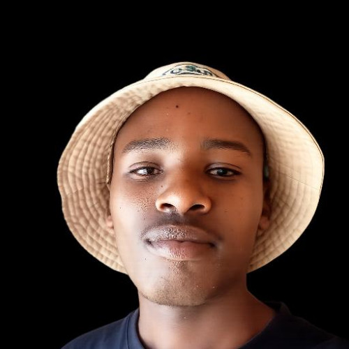 Allan M. profile photo