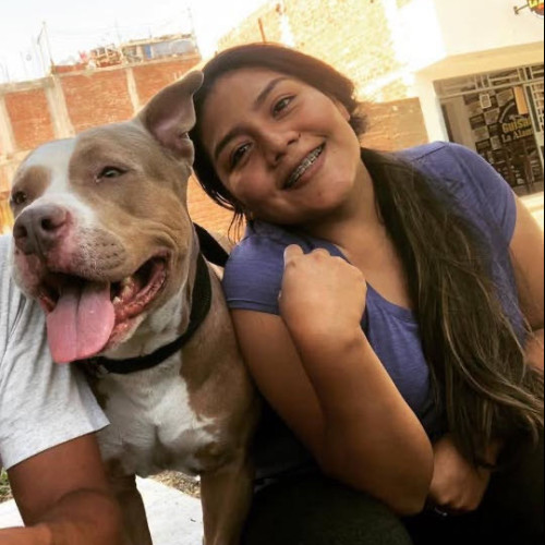 Paola p. profile photo