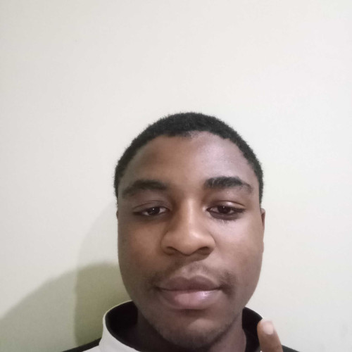 Peter D. profile photo