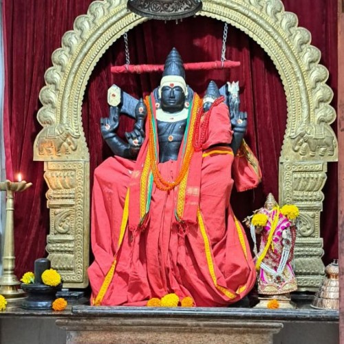 Devina  T. profile photo